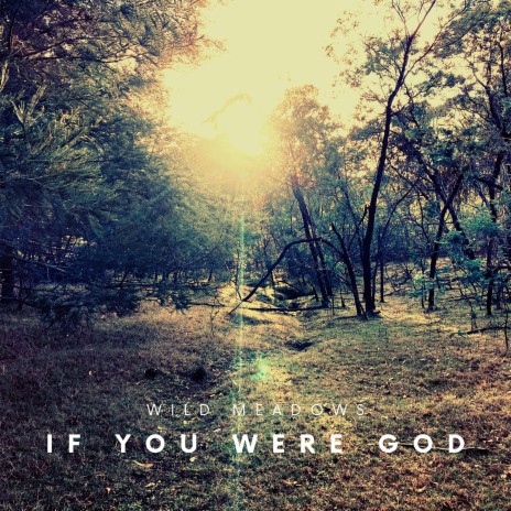 If You Were God