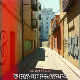 vida de la calle