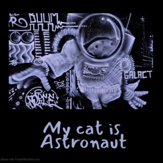 My cat is Astronaut