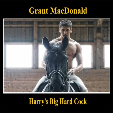 Harry's Big Hard Cock | Boomplay Music