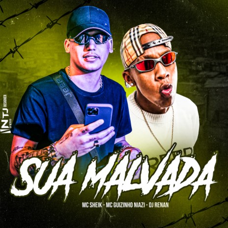 Sua Malvada ft. Mc guizinho niazi