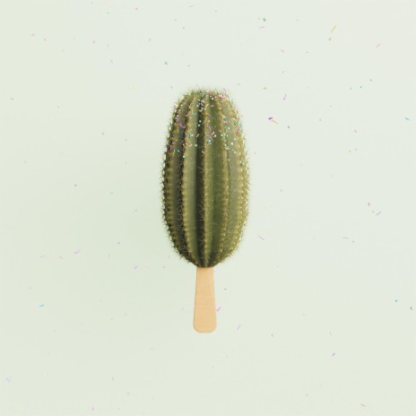 Kaktusseis | Boomplay Music