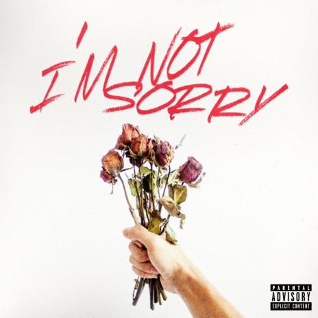 i'm not sorry | Boomplay Music