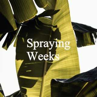 Spraying Weeks