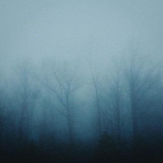 midnight fog