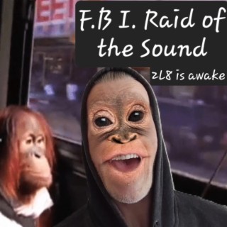 Fbi raid of the sound