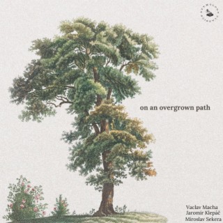 on an overgrown path