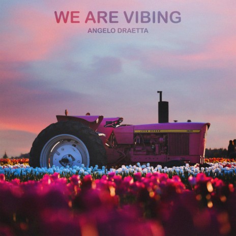 We Are Vibing (Instrumental Mix)