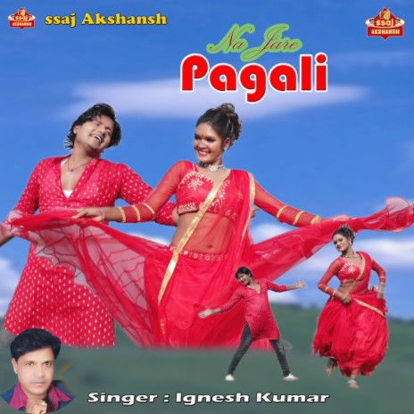 Na Jare Pagali | Boomplay Music