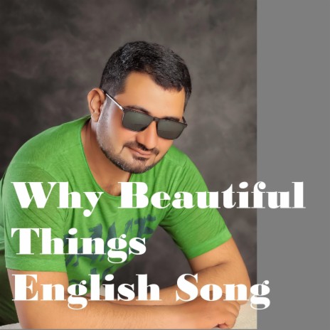 Why Beautiful Things English Song