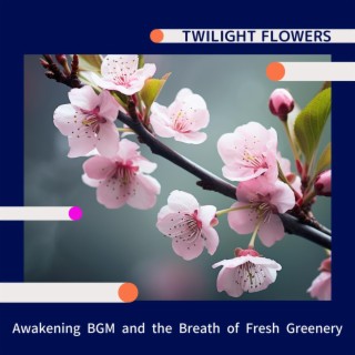 Awakening Bgm and the Breath of Fresh Greenery