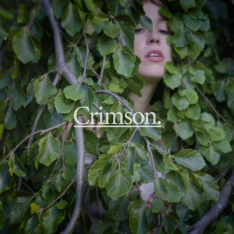 Crimson | Boomplay Music