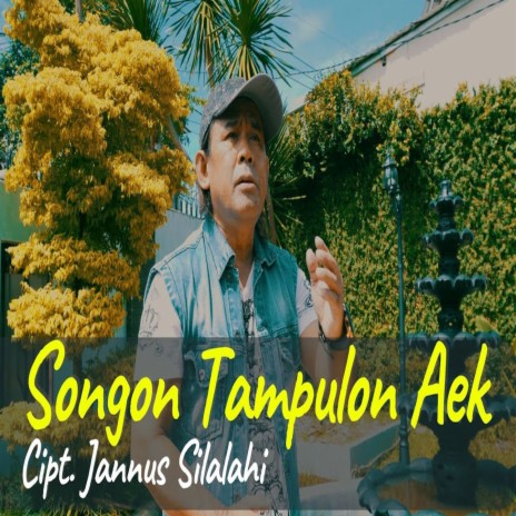 Songon Tampulon Aek | Boomplay Music