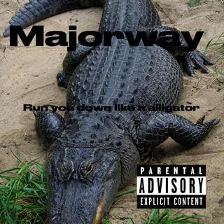 Run you down like a alligators (Radio Edit)