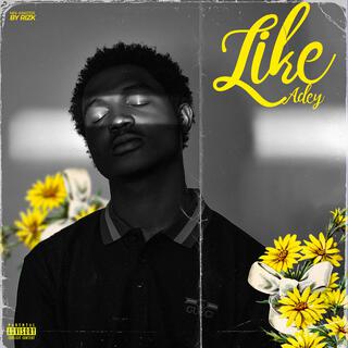 Like lyrics | Boomplay Music