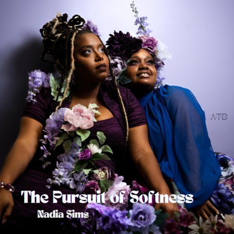 The Pursuit of Softness | Boomplay Music