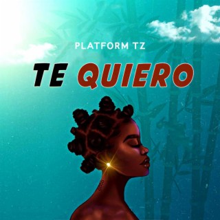 Te Quiero lyrics | Boomplay Music