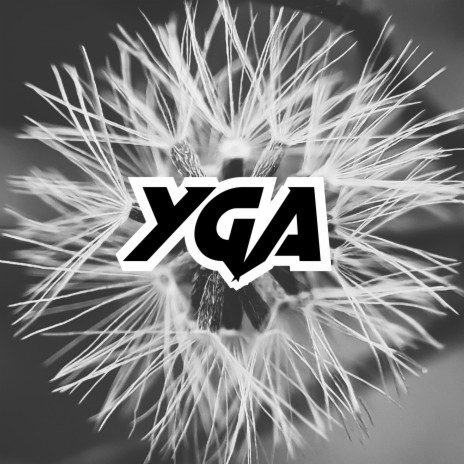 YGA | Boomplay Music