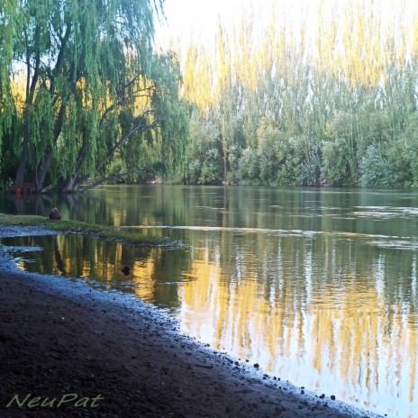 Río Neuquén | Boomplay Music