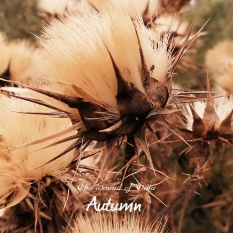 Autumn | Boomplay Music