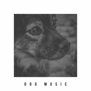 Healing Music For Dogs