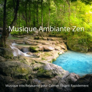 Musique Ambiante Zen - Musique très Relaxante pour Calmer l'Esprit Rapidement