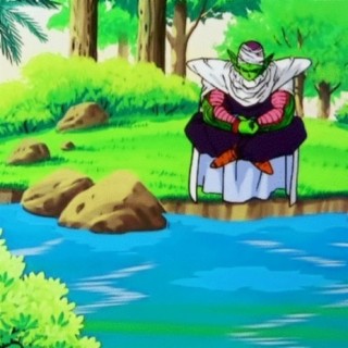 PICCOLO