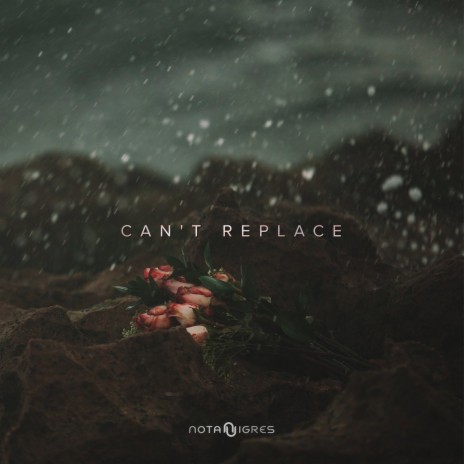 Can't Replace | Boomplay Music