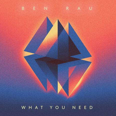 What You Need | Boomplay Music