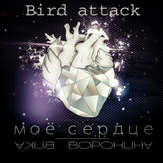 Моё сердце (Bird Attack)