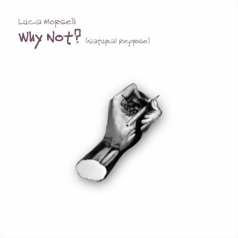 Why Not? (Natural Reprise) | Boomplay Music