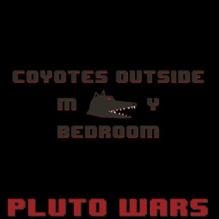 Coyotes Outside My Bedroom