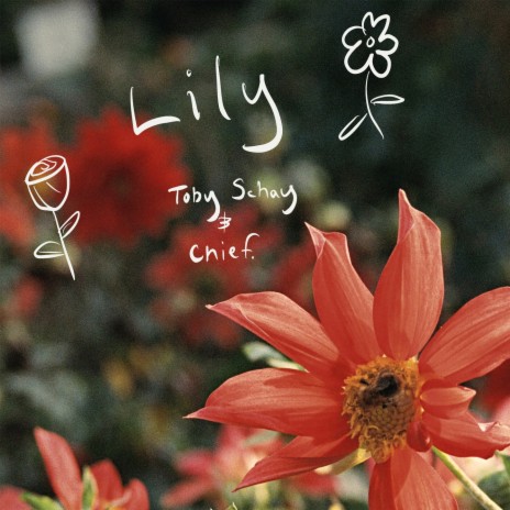 Lily ft. chief. | Boomplay Music