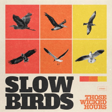 Slow Birds | Boomplay Music