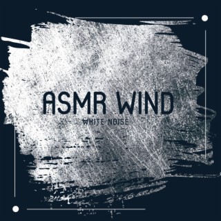 ASMR Wind White Noise: Deep Sleep Music, Night Meditation & Insomnia Relief
