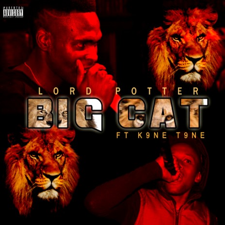 Big Cat | Boomplay Music