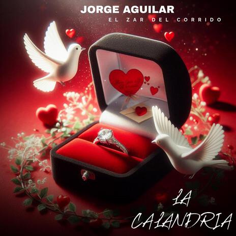 La Calandria | Boomplay Music