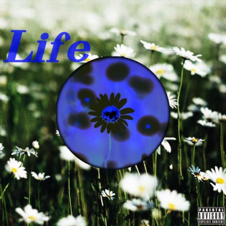 Life ft. Annika Carlson & Aryn Hills | Boomplay Music