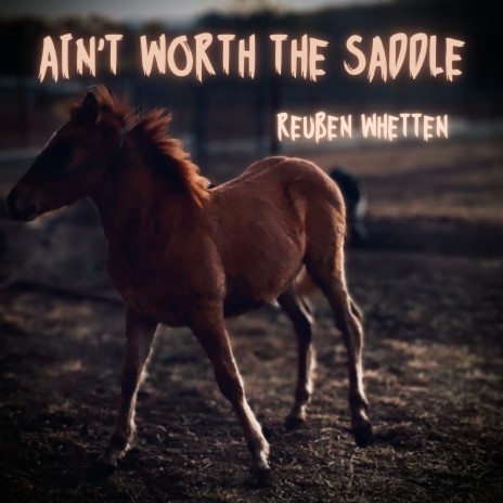 Ain’t Worth the Saddle | Boomplay Music