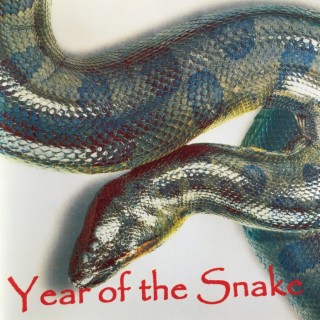Year of The Snake