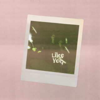 Like You