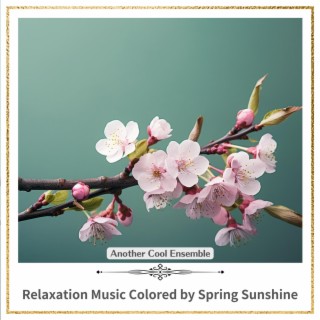 Relaxation Music Colored by Spring Sunshine