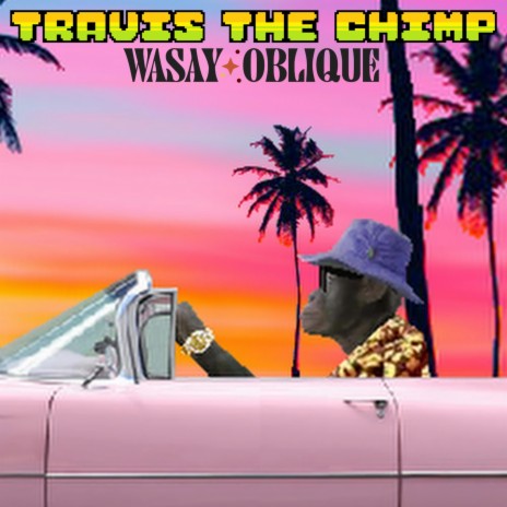 Travis the Chimp | Boomplay Music