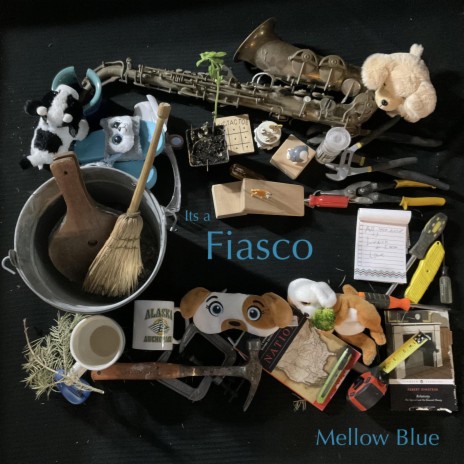 Its a Fiasco | Boomplay Music