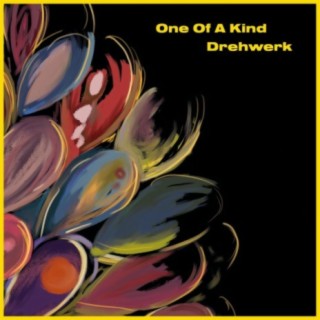 One of a Kind (feat. Anna Widauer)