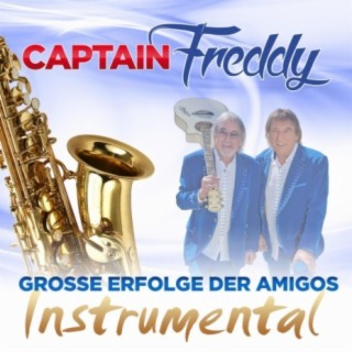 Große Erfolge der Amigos instrumental