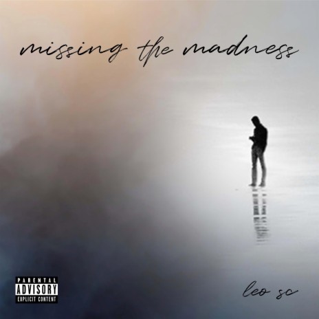 Missing The Madness | Boomplay Music