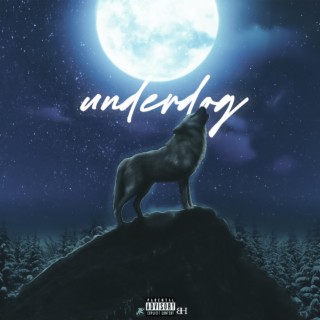 Underdog (Deluxe)