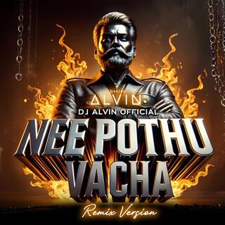 Nee Pothu Vacha (Remix)