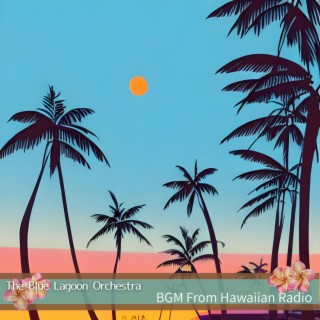 Bgm from Hawaiian Radio